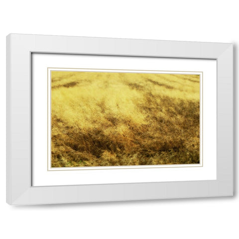 Golden Waves White Modern Wood Framed Art Print with Double Matting by Kravanja, Jure