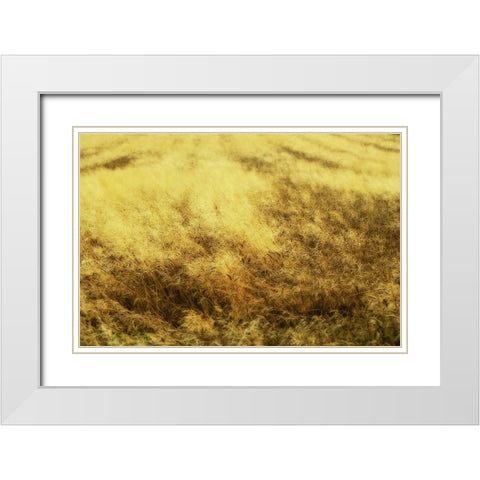 Golden Waves White Modern Wood Framed Art Print with Double Matting by Kravanja, Jure