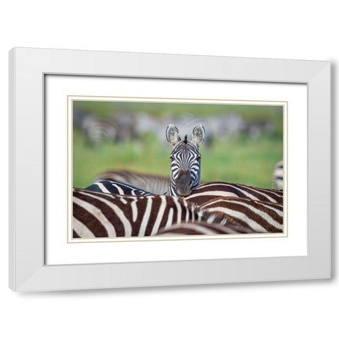 Make A Difference....Stand Out In The Crowd White Modern Wood Framed Art Print with Double Matting by C. Sink, Jeffrey