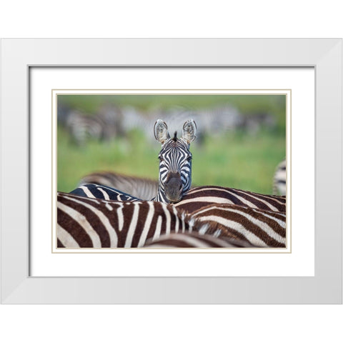Make A Difference....Stand Out In The Crowd White Modern Wood Framed Art Print with Double Matting by C. Sink, Jeffrey