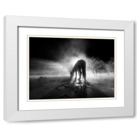 The winter White Modern Wood Framed Art Print with Double Matting by Z, Bingo