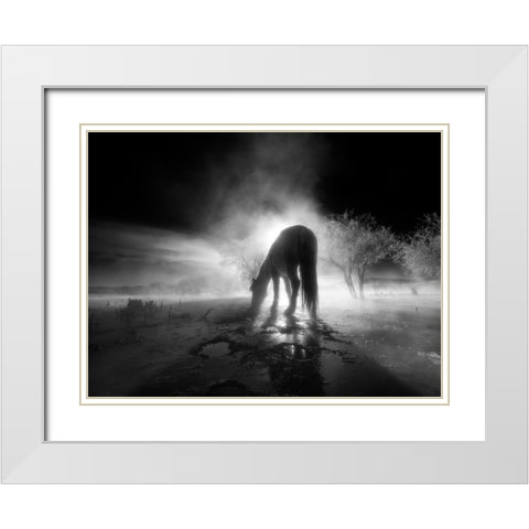 The winter White Modern Wood Framed Art Print with Double Matting by Z, Bingo