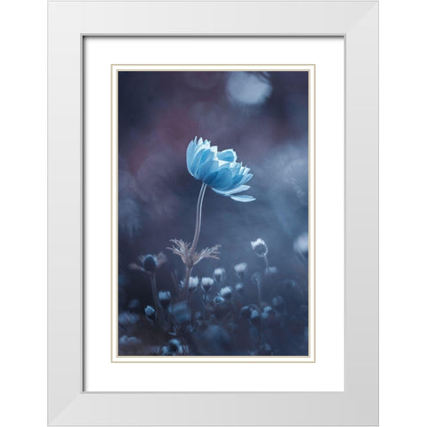 A Short Story Of Flower White Modern Wood Framed Art Print with Double Matting by Bravin, Fabien