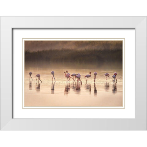 Photographic Ode To Monet White Modern Wood Framed Art Print with Double Matting by C. Sink, Jeffrey