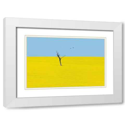 Canola Flowers White Modern Wood Framed Art Print with Double Matting by Ivylu