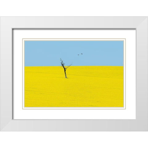 Canola Flowers White Modern Wood Framed Art Print with Double Matting by Ivylu