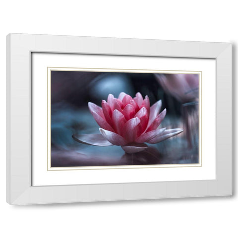 Offer White Modern Wood Framed Art Print with Double Matting by Bravin, Fabien