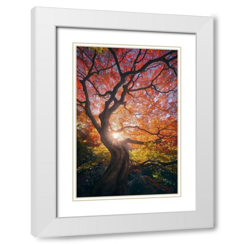 The Japanese Tree White Modern Wood Framed Art Print with Double Matting by De La, Javier