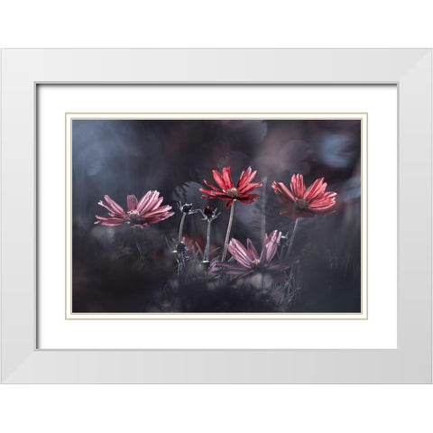Les Fleurs Du Bien White Modern Wood Framed Art Print with Double Matting by Bravin, Fabien