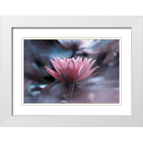 Silence White Modern Wood Framed Art Print with Double Matting by Bravin, Fabien