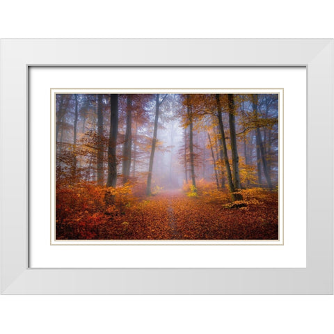 October Trail White Modern Wood Framed Art Print with Double Matting by Maier, Norbert