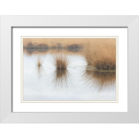 Piping Straw White Modern Wood Framed Art Print with Double Matting by Cornelis, Ann