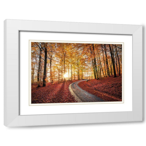 Road In Sapderaysen Nationalpark-Sweden White Modern Wood Framed Art Print with Double Matting by Lindsten, Christian