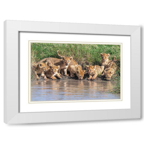 Putting The Band Back Together.... White Modern Wood Framed Art Print with Double Matting by C. Sink, Jeffrey