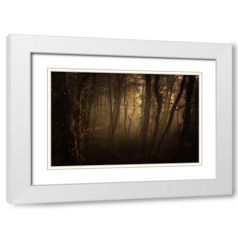 Late Afternoon White Modern Wood Framed Art Print with Double Matting by Maier, Norbert