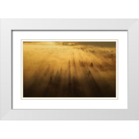 Morning In The Forest White Modern Wood Framed Art Print with Double Matting by Krivec, Ales