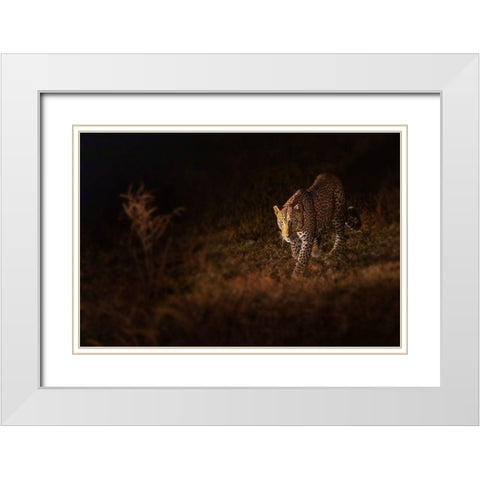 Patrol White Modern Wood Framed Art Print with Double Matting by Liu, Richard