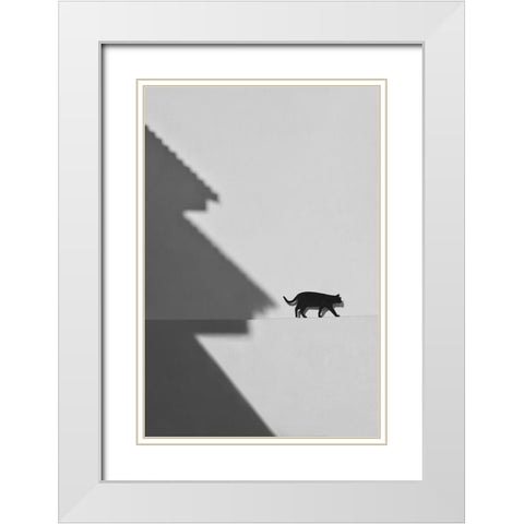 Black Cat White Modern Wood Framed Art Print with Double Matting by Joseph, Florentinus