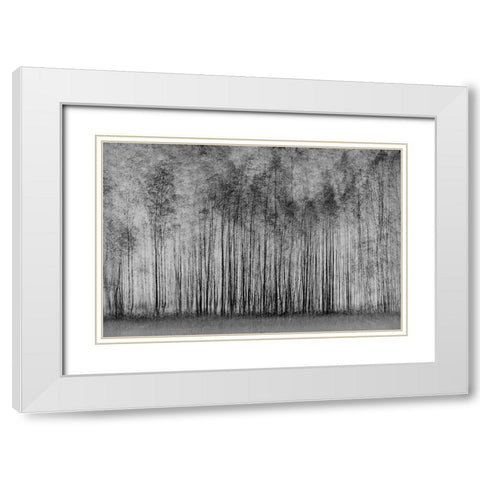 Impenetrable Forest White Modern Wood Framed Art Print with Double Matting by Schleicher-Schwarz, Roswitha
