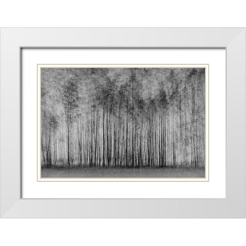 Impenetrable Forest White Modern Wood Framed Art Print with Double Matting by Schleicher-Schwarz, Roswitha