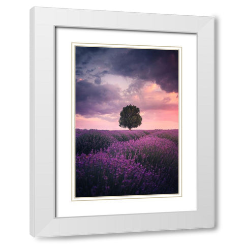 Lavender Fields, Isparta White Modern Wood Framed Art Print with Double Matting by Cevik, Cuma