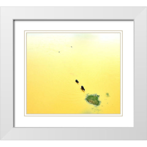 Food Bank White Modern Wood Framed Art Print with Double Matting by Mukherjee, Saikat