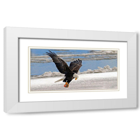 The Prize White Modern Wood Framed Art Print with Double Matting by Hallkc