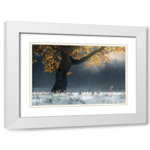 Morning Breath White Modern Wood Framed Art Print with Double Matting by Saowanee, Suntararak