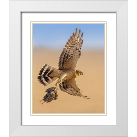 Untitled White Modern Wood Framed Art Print with Double Matting by Sobhi, Ahmed