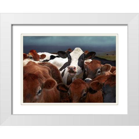 Laughing Cow White Modern Wood Framed Art Print with Double Matting by Perlow, Gary