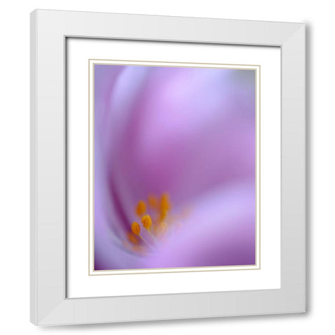 Secret Dream White Modern Wood Framed Art Print with Double Matting by jealousy