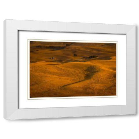 Wheat Field In Sunset White Modern Wood Framed Art Print with Double Matting by Wang, David