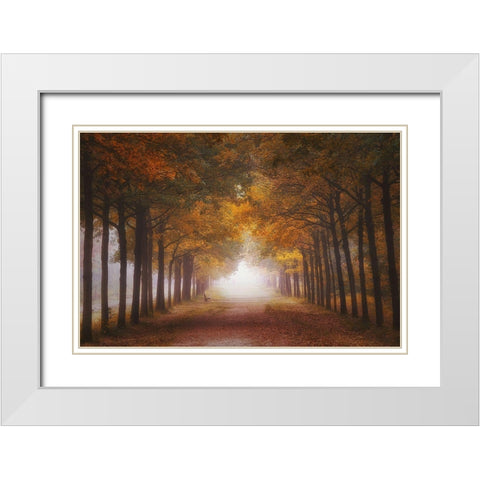Foggy Autumn Dream White Modern Wood Framed Art Print with Double Matting by Dingemans, Saskia