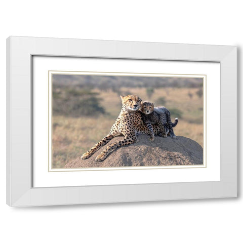 Cheetah And Cup! White Modern Wood Framed Art Print with Double Matting by Fischer, Jie