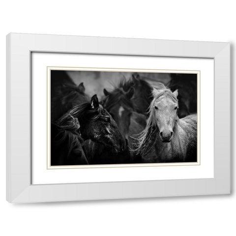 White White Modern Wood Framed Art Print with Double Matting by Basa, Emine