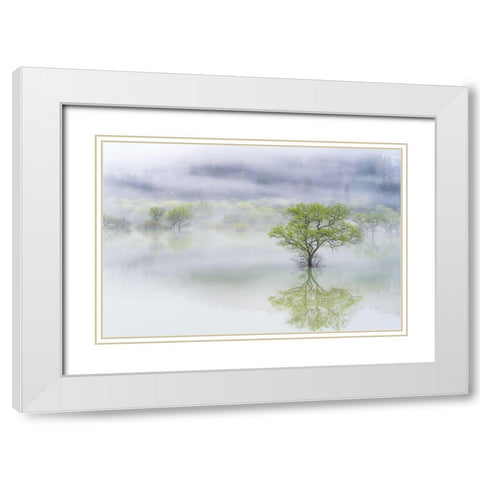 Dreamy Tree White Modern Wood Framed Art Print with Double Matting by Saowanee, Suntararak