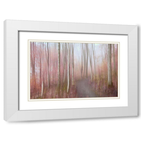 Soft Autumn White Modern Wood Framed Art Print with Double Matting by Sillen, Christina