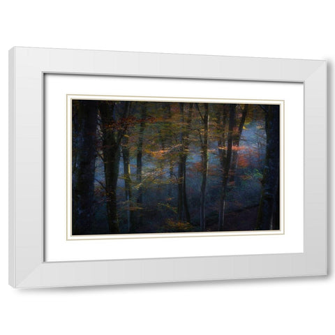 The Fairy Forest White Modern Wood Framed Art Print with Double Matting by Marchegiani, Roberto