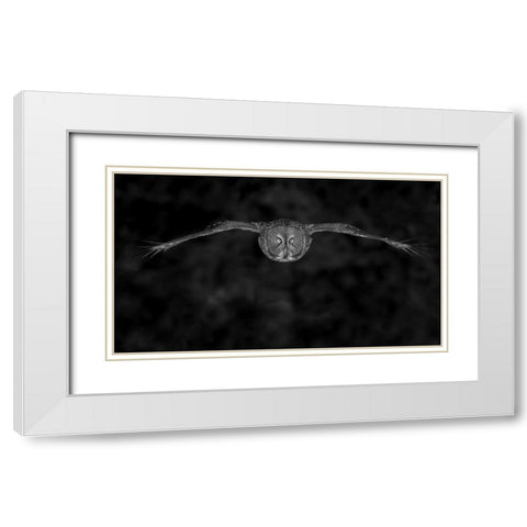 Great Gray Owl In Fly White Modern Wood Framed Art Print with Double Matting by Wang, Bo