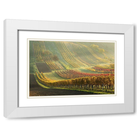 Autumn Vineyards White Modern Wood Framed Art Print with Double Matting by Pakutina, Anna