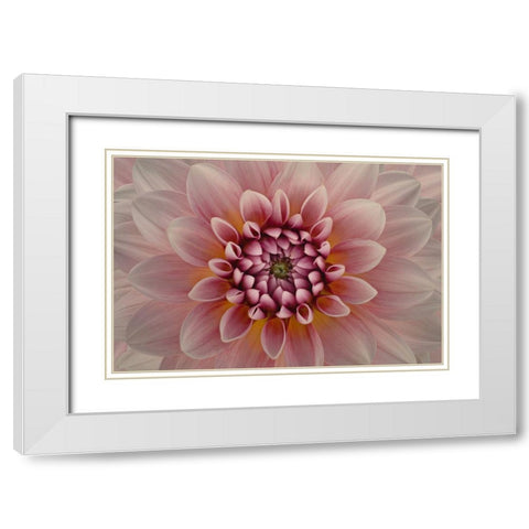 Blush White Modern Wood Framed Art Print with Double Matting by Urbanski, Richard