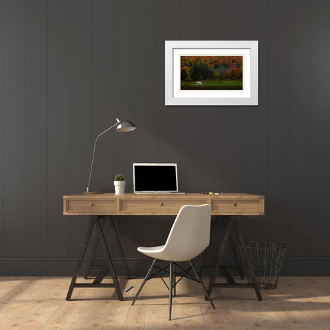 Autumn Glory White Modern Wood Framed Art Print with Double Matting by P., Ruiqing