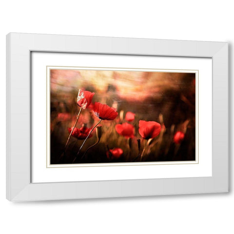 Morning Air White Modern Wood Framed Art Print with Double Matting by Karami, Sahar