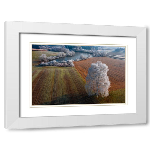 Winter Idyll White Modern Wood Framed Art Print with Double Matting by Kravanja, Jure