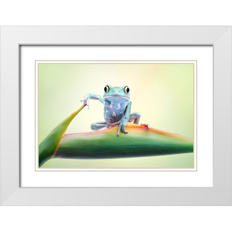 So Whaddaya Say White Modern Wood Framed Art Print with Double Matting by Doyle, Renee