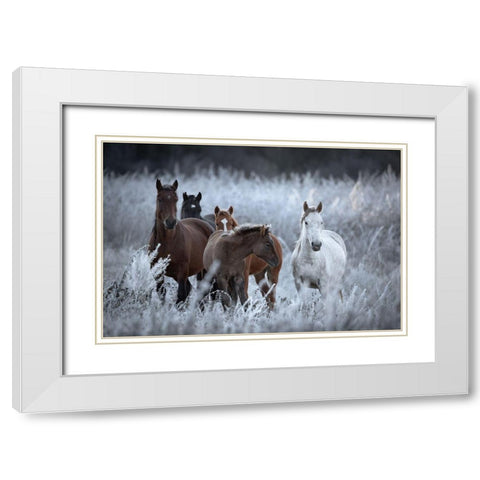 One Frosty Morning.. White Modern Wood Framed Art Print with Double Matting by Sokolovsky, Vlad