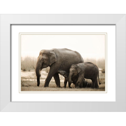 Family Portrait White Modern Wood Framed Art Print with Double Matting by Swapnil