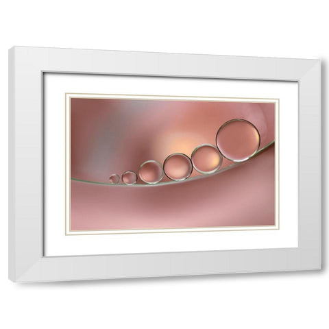 Sensations White Modern Wood Framed Art Print with Double Matting by Barbieri, Rina