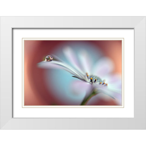 Summer Dream White Modern Wood Framed Art Print with Double Matting by Westum, Heidi