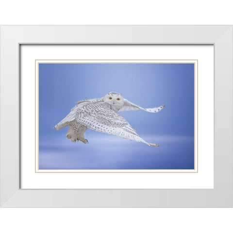 See Me White Modern Wood Framed Art Print with Double Matting by Huang, Tao